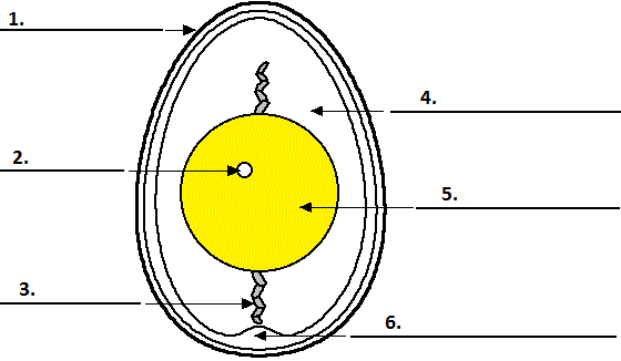 Diagram labeling in IELTS Reading