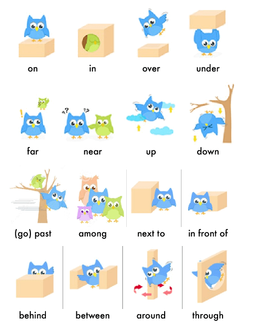 Prepositions of place (in, under, up, next to ...)